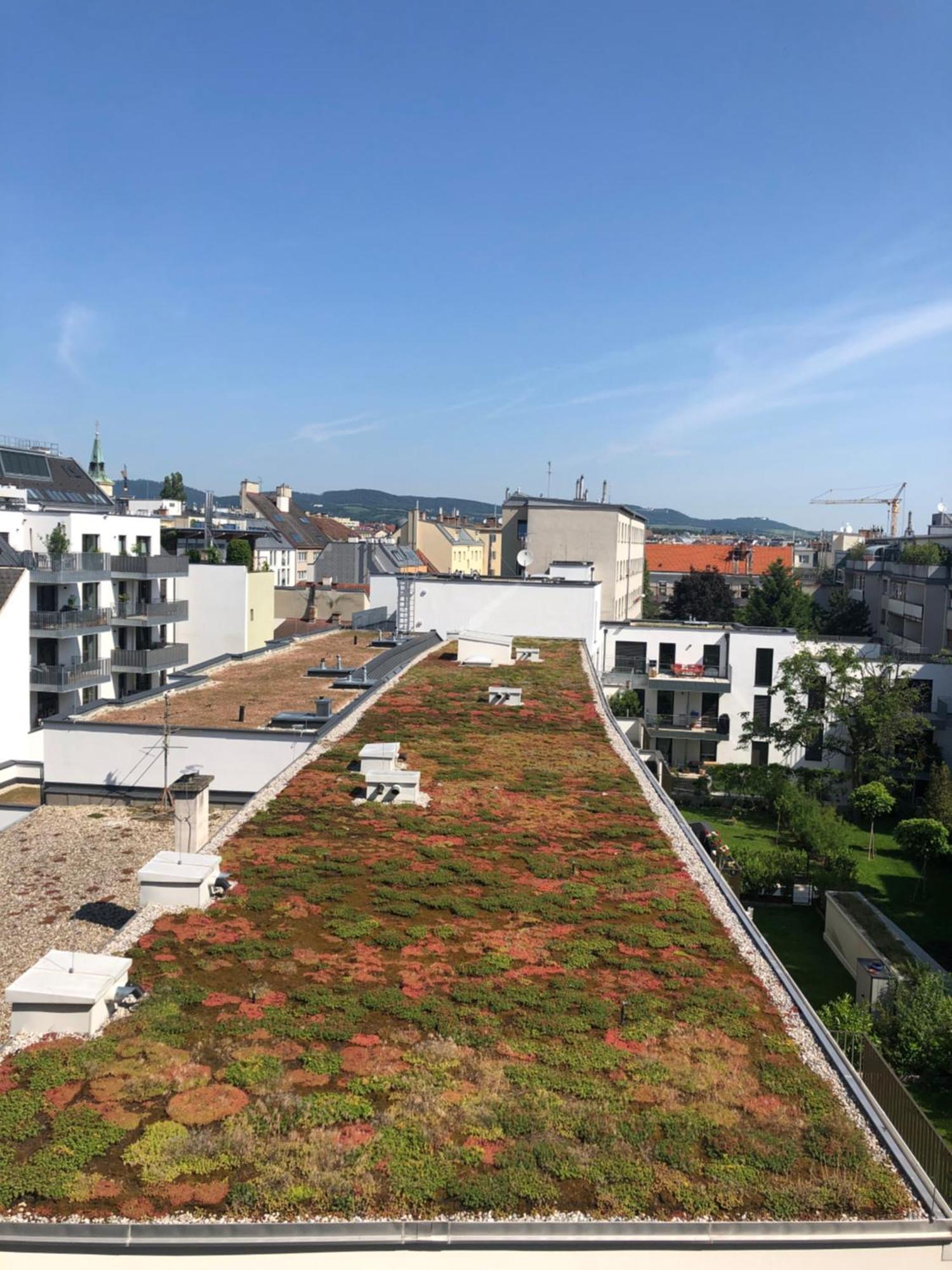Vienna Sunny Side Up Apartments Kültér fotó